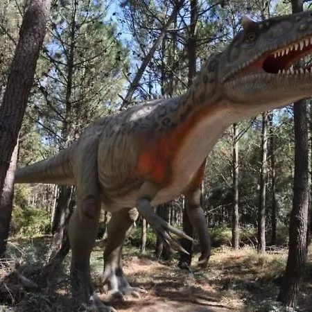 Moderne Mit Privatem Pool Und Meerblick By Interhome Ferienhaus *